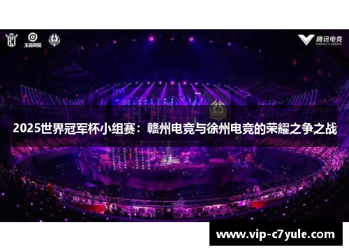 2025世界冠军杯小组赛：赣州电竞与徐州电竞的荣耀之争之战