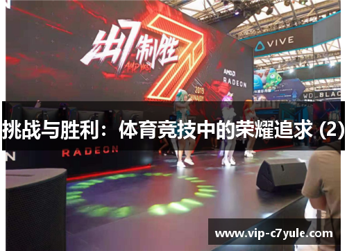 挑战与胜利：体育竞技中的荣耀追求 (2)